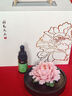 Para Ella永生花陶瓷牡丹生日禮物女生伴手禮實用七夕情人節(jié)母親教師節(jié)老師 曬單實拍圖