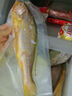 1號會員店寧德三去黃花魚 凈重2斤/4條  大黃魚 深海魚 冷凍海鮮水產 生鮮 曬單實拍圖