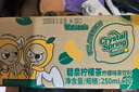 屈臣氏碧泉鴨屎香檸檬茶原葉萃取果汁茶飲料250mL*12盒整箱 曬單實拍圖