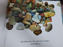 男孩、小狗與大海 繪本大師安東尼·布朗全新力作 鼓勵孩子學(xué)會(huì )觀(guān)察生活、勇于嘗試3-6-9歲（啟發(fā) 曬單實(shí)拍圖
