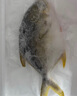 環(huán)球水產(chǎn)冷凍南海金鯧魚2斤/2條 生鮮魚類 火鍋 深海魚 海鮮水產(chǎn) 家庭聚餐 曬單實拍圖