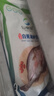 仙泉湖三去白蕉海鱸魚(yú)1斤/條凈膛冷凍刺少肉厚珠海特產(chǎn)500g生鮮中秋食材 曬單實(shí)拍圖