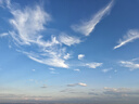 鉆石牌壁扇工業(yè)風(fēng)扇大風(fēng)力電風(fēng)扇牛角扇大功率工廠車間商用立式工業(yè)大風(fēng)扇吹除甲醛FS-65 曬單實(shí)拍圖