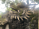 潔西全營養(yǎng)私房兔糧營養(yǎng)全階兔糧兔子飼料幼兔成兔垂耳2.5kg*2包 曬單實拍圖
