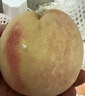 四叔公果蔬陽山鎮(zhèn)水蜜桃無錫新鮮桃子【JD順豐-閃送】脆毛桃新鮮水果禮盒 嚴選【80%買·很甜】單果4-5兩 實惠輕享【8枚爽吃裝】狠劃算 曬單實拍圖