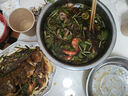 美加佳 三去小章魚凈重1斤（8-13只） 去牙去臟八爪魚 海鮮水產(chǎn) 曬單實拍圖