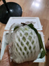 藍易脆廣西白心芭樂果園現摘現發(fā)珍珠白心番石榴新鮮芭樂果 廣西白心珍珠芭樂 9斤大果家庭裝 曬單實拍圖