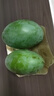 四川攀枝花凱特芒果當季新鮮大青皮芒果熱帶水果 5斤帶箱凈重4.5斤 單果250g起 曬單實(shí)拍圖