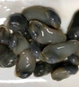 遇上鮮 舟山泥螺皇  醉泥螺大號黃泥螺 凈含量270g(固體55%) 源頭直發(fā) 曬單實(shí)拍圖