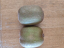 GUO LIAN國聯(lián)冬筍水晶蝦餃 1kg 40只 袋裝 廣式早茶早餐點(diǎn)心預制菜半成品 曬單實(shí)拍圖