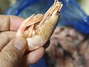 仁豪水產(chǎn)【源頭直發(fā)】海藻蝦北極甜蝦 90/120規格 凈重4斤 解凍即食 聚餐 曬單實(shí)拍圖