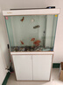 森森（SUNSUN）大型魚(yú)缸底過(guò)濾水族箱客廳家用落地玻璃生態(tài)金魚(yú)缸 【實(shí)時(shí)溫顯+燈控】珍珠白 0.8米長(zhǎng)35cm寬 曬單實(shí)拍圖