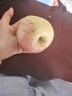 甜醉了 煙臺(tái)蘋果棲霞紅富士新鮮水果生鮮山東特產(chǎn)脆甜整箱平果禮盒禮品 凈重8.6斤特大果85-90mm 曬單實(shí)拍圖