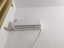 長虹（CHANGHONG）空調(diào)大1.5匹新一級省電熊貓懶銅線電機空調(diào)國家補貼20%空調(diào)掛機臥室KFR-35GW/ZDCSW1+R1以舊換新 曬單實拍圖