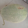 京鮮生 哈密瓜西州蜜25號(hào) 凈重3.5-4.5斤1粒裝 源頭直發(fā)【搜生鮮館】 曬單實(shí)拍圖