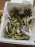 黃六爺東北油豆角10斤現摘新鮮蔬菜黑龍江一點(diǎn)紅油豆角九月青開(kāi)鍋爛整箱 5斤【新鮮超嫩】 曬單實(shí)拍圖