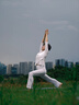EFP-50BI平板led補(bǔ)光燈雙色溫直播攝影攝像常亮燈外拍夜景人像證件照打光燈演播室微電影視頻拍照 曬單實(shí)拍圖