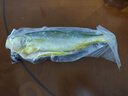 三都港 冷凍三去大黃魚(yú)凈重2斤/2條裝 寧德黃花魚(yú) 生鮮魚(yú)類 燒烤 曬單實(shí)拍圖