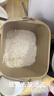 柏翠（petrus） 烤面包機(jī)家用全自動多功能小型早餐三明治吐司和揉面輕食機(jī)雙管冰淇淋 PE9709 節(jié)日禮物 雅典藍(lán)（ 咨詢有大驚喜 ） 曬單實拍圖