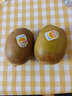 佳沛（zespri）新西蘭  陽光金奇異果10粒禮盒巨大果單果約144-175g 水果 獼猴桃 曬單實拍圖