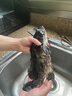 SAPMER 法國銀鱈魚(yú)高端銀鱈魚(yú)禮盒凈重2斤裝 0保水 中秋送禮嬰兒輔食 曬單實(shí)拍圖