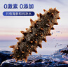 宮壹大連即食海參1斤15-25只 固形物超75%底播刺參鮮活海參加工免泡發(fā) 曬單實拍圖