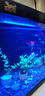 森森金麟超白玻璃魚(yú)缸一體缸自循小型懶人家用水族箱LE-380 曬單實(shí)拍圖