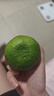 唯亭美云南青皮蜜橘桔子特早熟蜜桔酸甜無籽蜜桔口感新鮮當(dāng)季水果孕婦 實(shí)惠5斤 中果【酸味十足】 曬單實(shí)拍圖