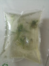 觀(guān)賞蝦水晶蝦米蝦淡水除藻清潔工具蝦彩色小蝦極火蝦櫻花蝦耐活體 藍寶石蝦10只含備損1-1.6cm 除藻清潔工具蝦彩色小蝦 曬單實(shí)拍圖