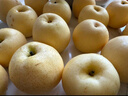 京鮮生 長(zhǎng)城老樹(shù)皇冠梨 凈重5斤 單果250g+ 新鮮當(dāng)季 生鮮水果 曬單實(shí)拍圖
