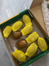 佳沛（zespri）新西蘭陽光金果10個裝獼猴桃單果重約101-124g水果獼猴桃 曬單實拍圖