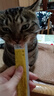 味當家貓零食貓條12支*15g成貓幼貓咪零食濕糧罐頭3種混合口味0谷0誘0淀 曬單實(shí)拍圖