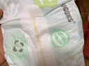 好奇（Huggies）小森林 森林密語 尿不濕 紙尿褲 紙尿褲M48片 曬單實(shí)拍圖