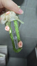 加恩倍氣質(zhì)花朵一字抓夾女2025新款高級(jí)感發(fā)夾后腦勺超仙鴨嘴夾頭飾 米色花朵鴨嘴夾【1個(gè)】 曬單實(shí)拍圖