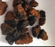 精皇樺樹(shù)茸500克*1俄羅斯進(jìn)口切塊白樺茸野生樺褐孔菌送父母手工精選 曬單實(shí)拍圖