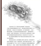 沈石溪動(dòng)物小說(shuō)·狼王夢(mèng)沈石溪畫(huà)本（5冊）小學(xué)生四五六年級課外閱讀書(shū)籍 兒童文學(xué)經(jīng)典讀物 課外閱讀 曬單實(shí)拍圖