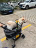 DO DO PET分離式寵物推車(chē)中小型犬貓咪外出手推車(chē)輕便折疊泰迪柯基狗狗推車(chē) 灰色【透氣款-升級卡扣】 曬單實(shí)拍圖