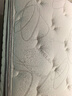 舒達（serta）香榭麗舍plus乳膠左右旋獨立袋彈簧床墊靜音1.5*2米適中 曬單實(shí)拍圖