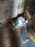 自吸不銹鋼齒輪泵電動抽油泵高粘度機油柴油液壓油食用油220V380V 高粘度專用1400轉(zhuǎn)750W220V 曬單實拍圖