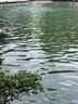 可復(fù)美醫(yī)用皮膚液體敷料補(bǔ)水次拋狀創(chuàng)面護(hù)理1.2mLx7支x4袋/盒 曬單實(shí)拍圖