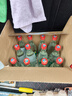 牛欄山二鍋頭 42度 陳釀 白牛二酒 整箱裝 濃香風(fēng)格AY標(biāo) 42度 500mL 12瓶 曬單實(shí)拍圖