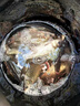 鉤尖江湖五谷豐登年年有魚餌料夏季野釣通殺鯽魚鯉魚谷物香魚餌 【新品】奶油香鯽 曬單實拍圖