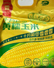 十月稻田 黃糯玉米 3.52斤(220g*8根) 25年新玉米 低脂 早餐零食 東北玉米 曬單實拍圖