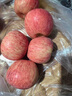 青饞貓陜西延安特產(chǎn)洛川蘋(píng)果紅富士時(shí)令水果禮盒送蘋(píng)果生鮮新鮮脆甜整箱 凈重4.5-5斤 中果【75-80mm+】 曬單實(shí)拍圖