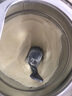a2奶粉紫白金A2+DHA幼兒配方奶粉2段(6-12月)900g*6【送禮品】 曬單實(shí)拍圖