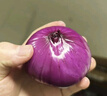 京鮮生 河南紫皮洋蔥帶皮 凈重5斤 單果300g+ 新鮮蔬菜源頭直發(fā) 曬單實(shí)拍圖