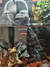 森森 小鯉魚缸過濾器凈水循環(huán)三合一內(nèi)置水族箱過濾系統(tǒng)XQP-500F 6W 曬單實(shí)拍圖