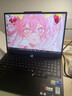 聯(lián)想拯救者Y7000 2025 游戲筆記本電腦(i7-14650HX 16G 512G RTX5060 2.5K 180Hz 黑)國家補貼20% 曬單實(shí)拍圖