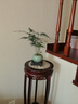 泰西絲文竹盆景桌面綠植盆栽 文竹+綠哥窯冰裂盆+苔蘚+方托 源頭直發(fā) 曬單實拍圖