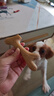 貴為（GiGwi）狗玩具磨牙棒狗狗磨牙玩具幼犬小型犬木塑鹿角小號寵物用品玩具 曬單實(shí)拍圖